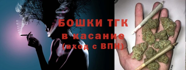 гашик Аркадак